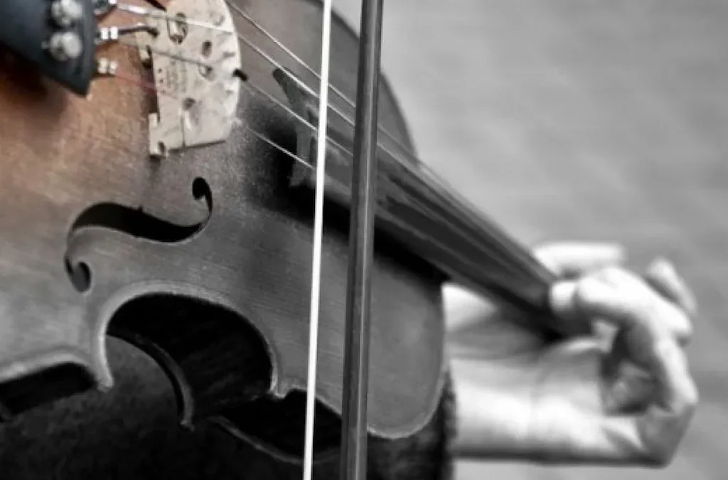 The Violinist in the Metro​