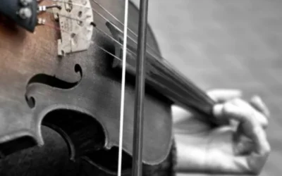 The Violinist in the Metro​